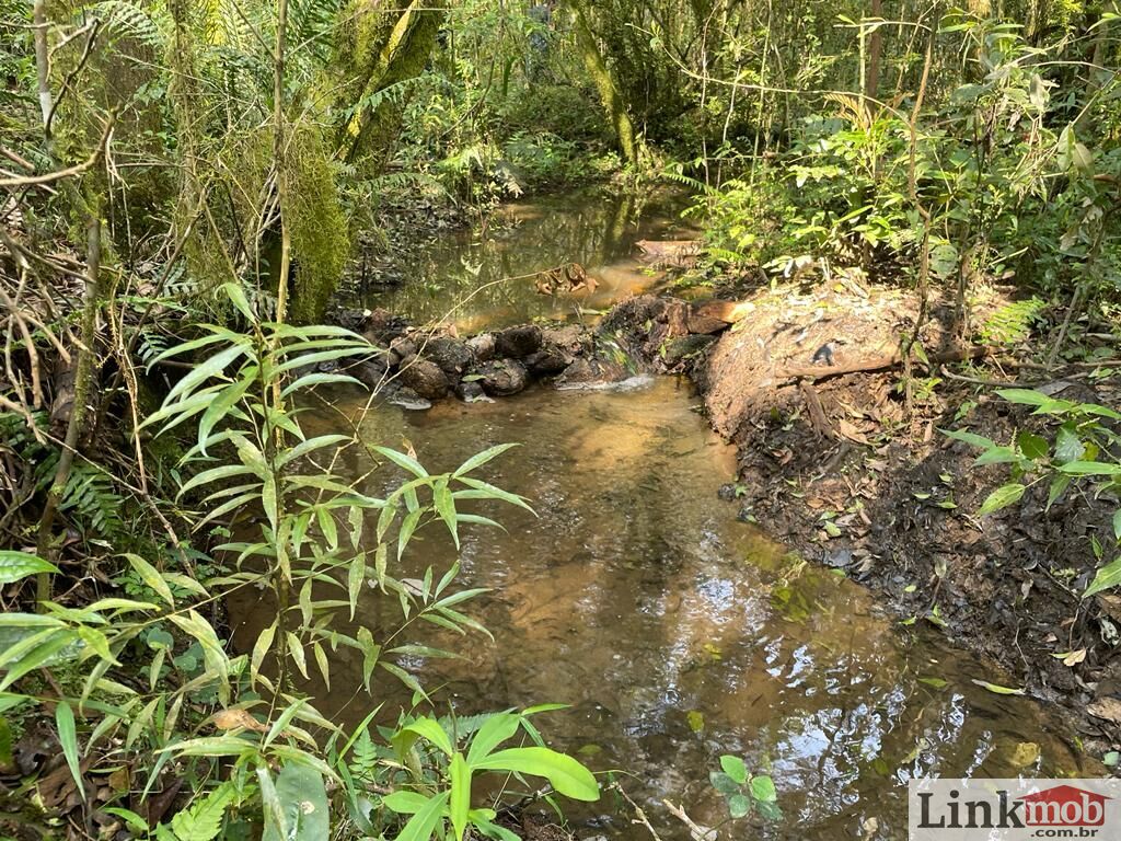 Fazenda à venda, 4500m² - Foto 23