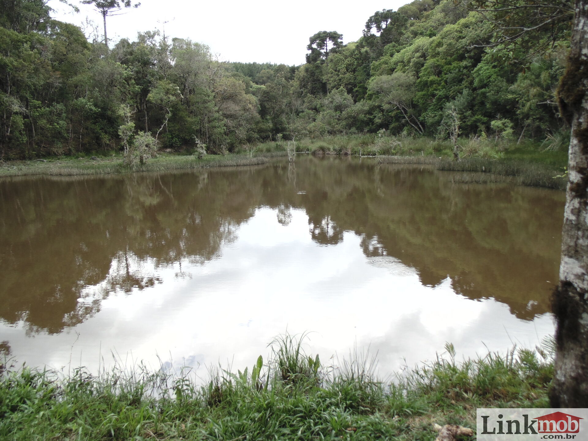 Fazenda à venda, 4500m² - Foto 25