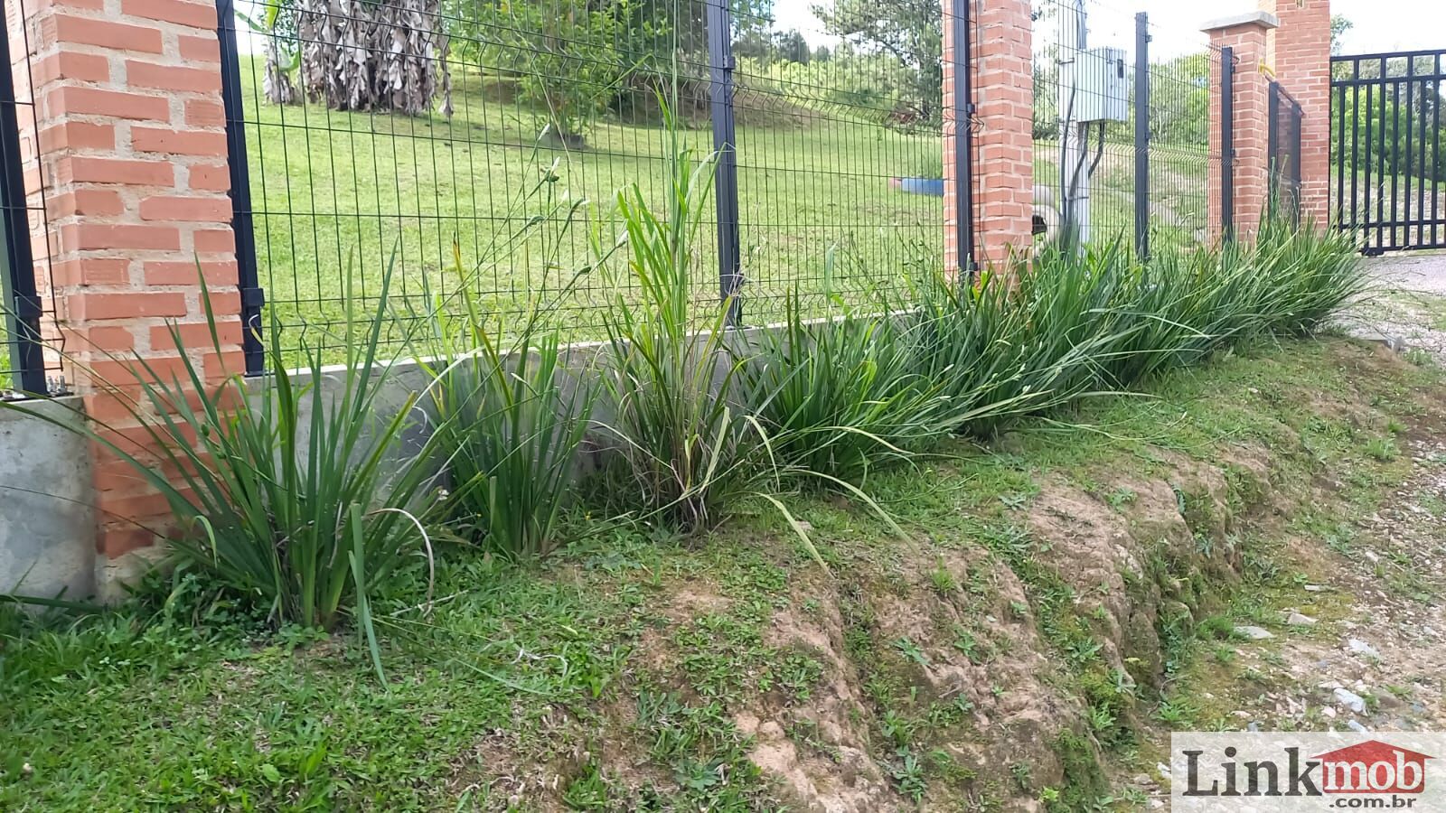 Fazenda à venda, 4500m² - Foto 8