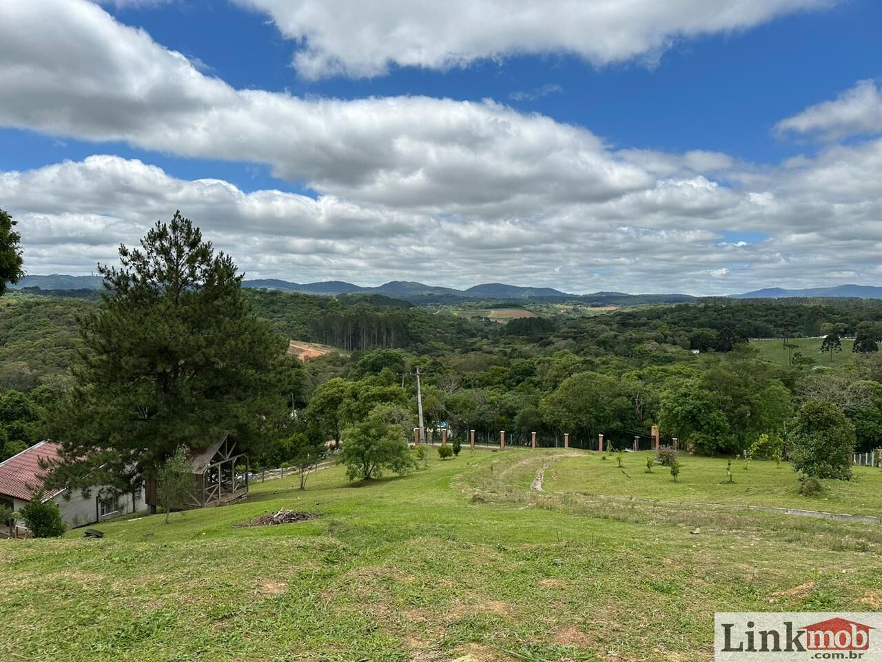 Fazenda à venda, 4500m² - Foto 6