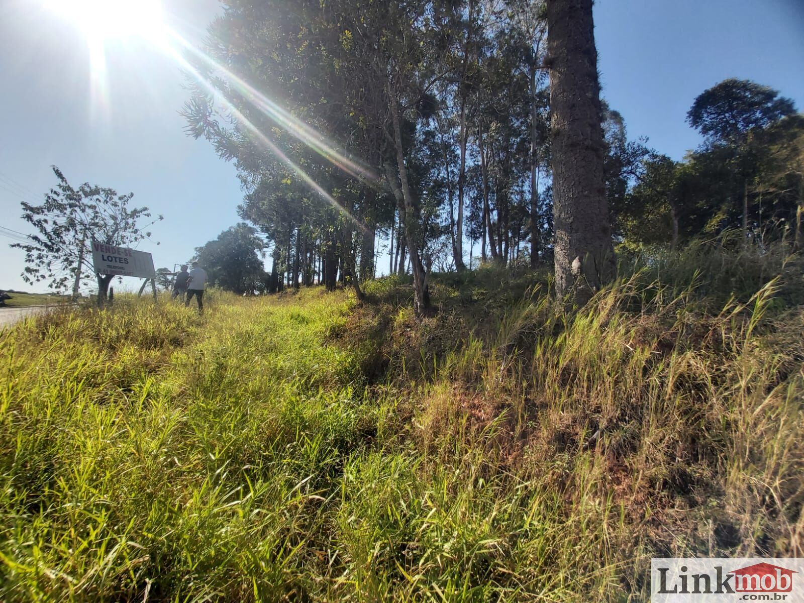 Terreno à venda, 854m² - Foto 9