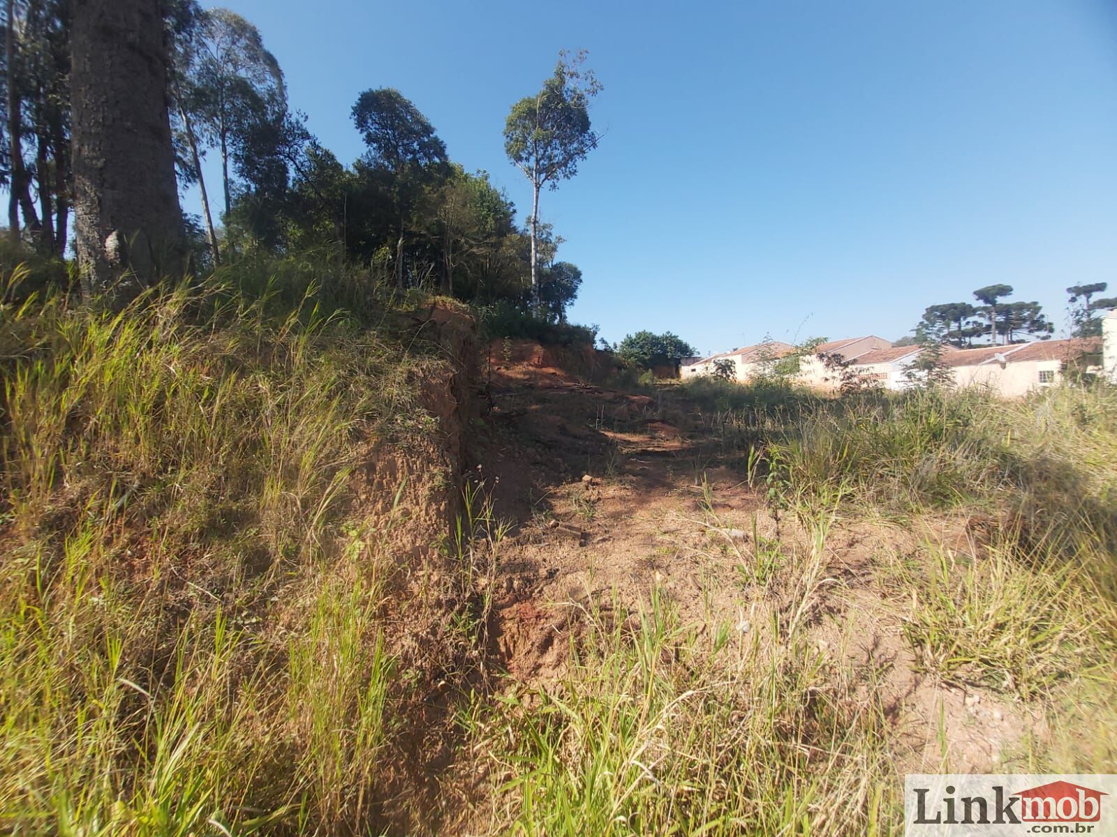 Terreno à venda, 854m² - Foto 8