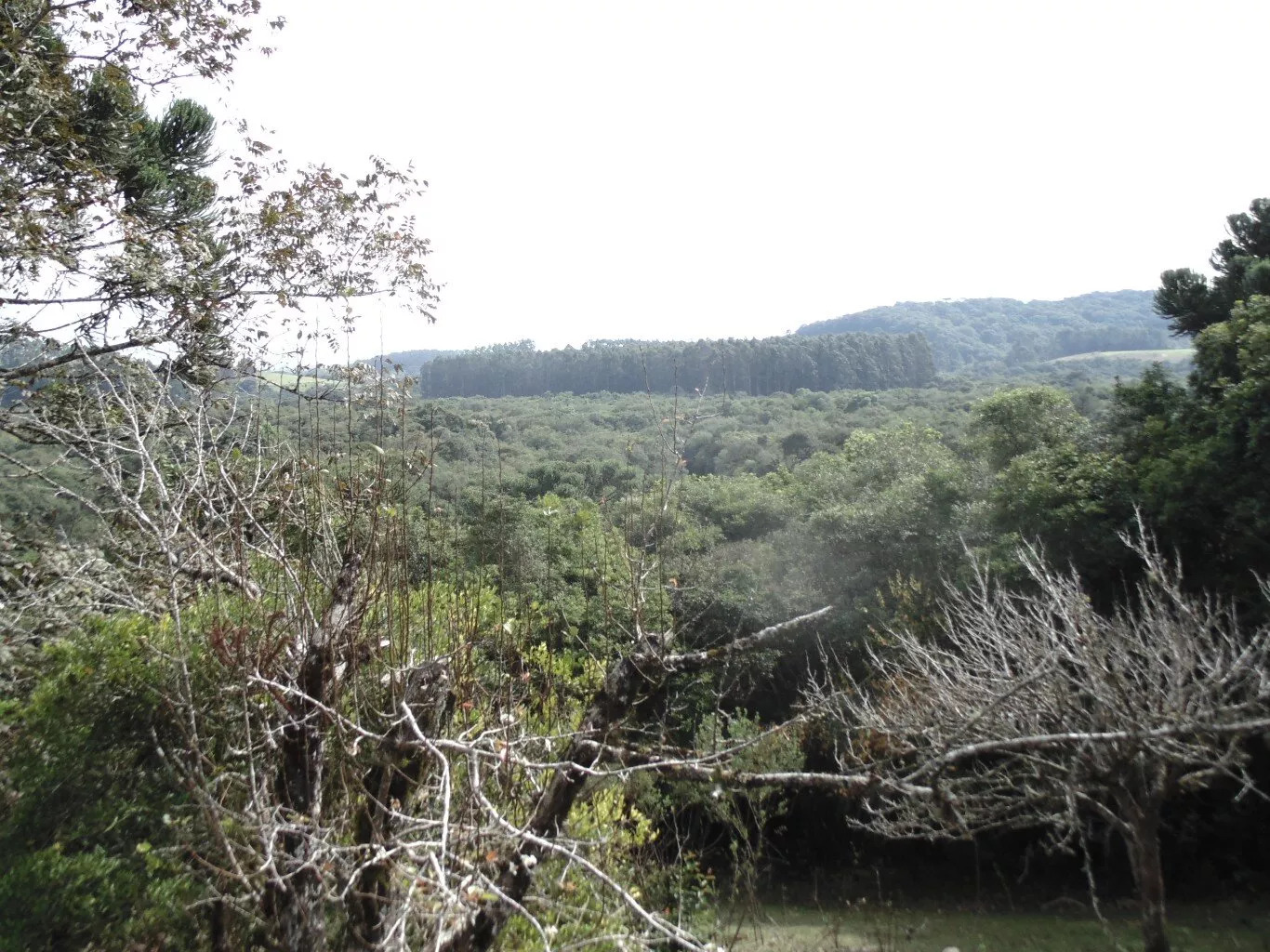 Fazenda à venda com 3 quartos, 72600m² - Foto 32