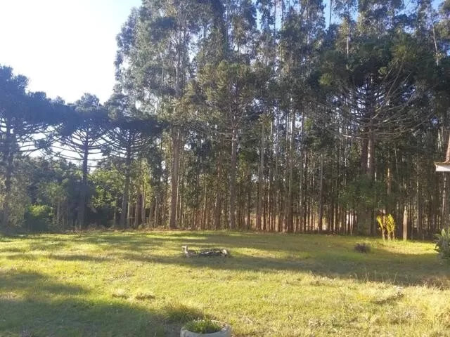 Fazenda à venda com 4 quartos, 37970m² - Foto 7