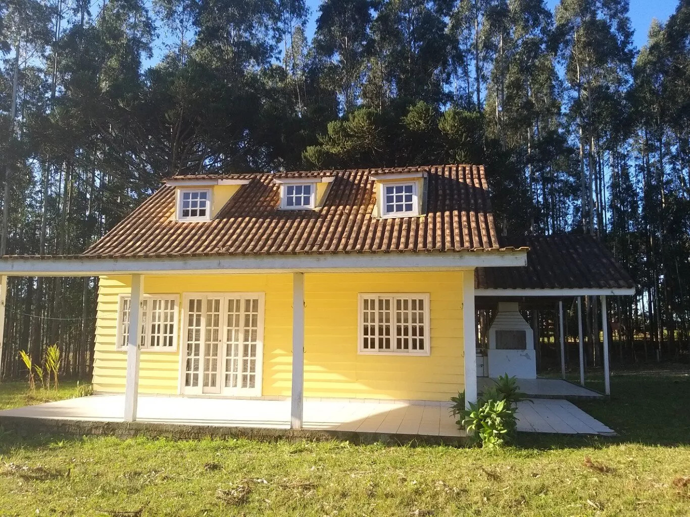 Fazenda à venda com 4 quartos, 37970m² - Foto 2