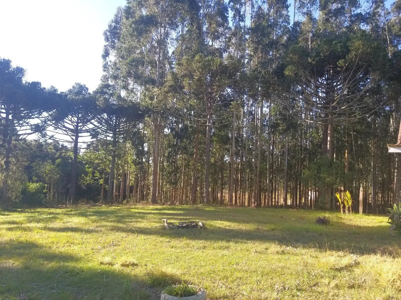 Fazenda à venda com 4 quartos, 37970m² - Foto 8