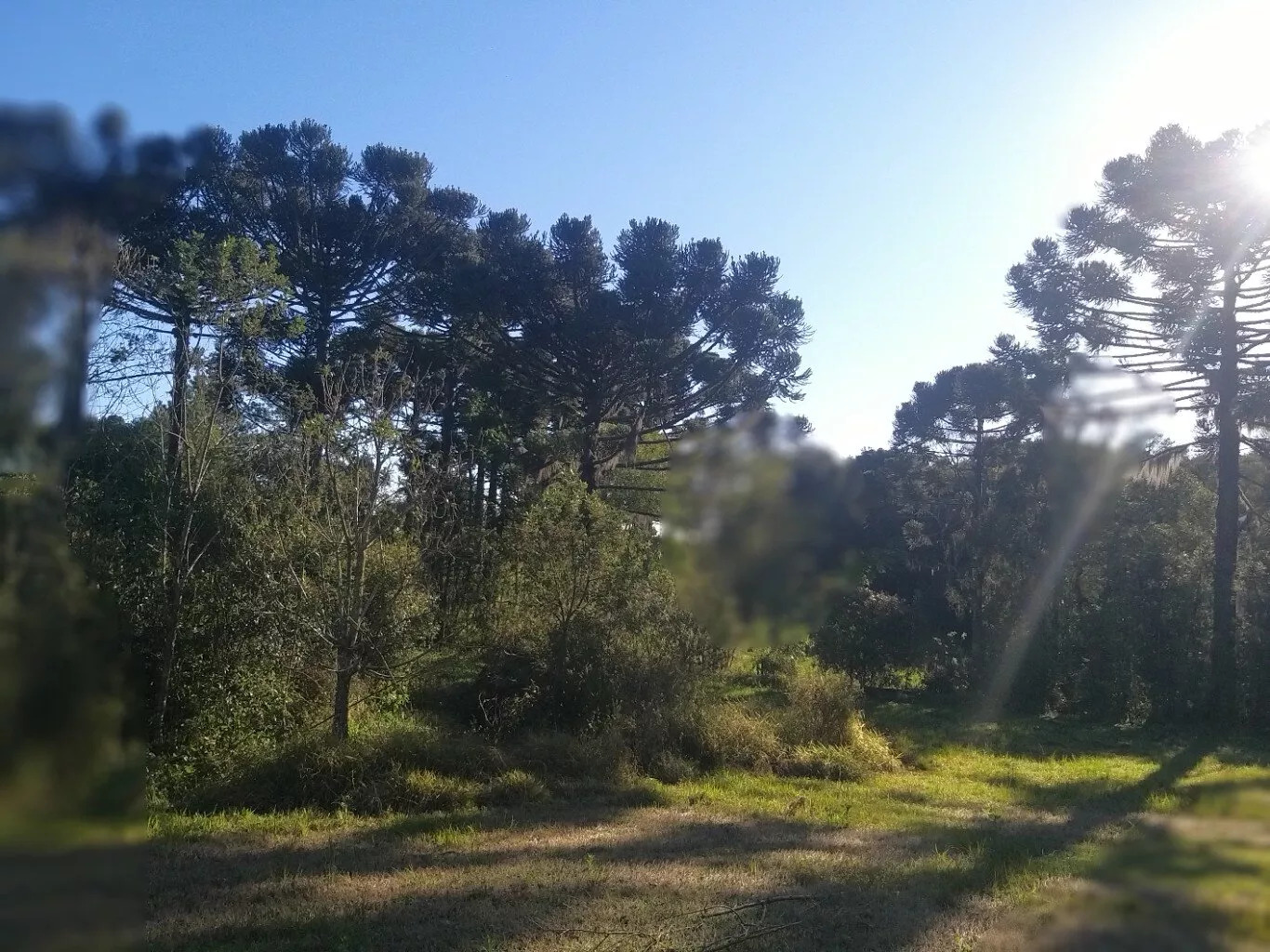 Fazenda à venda com 4 quartos, 37970m² - Foto 10