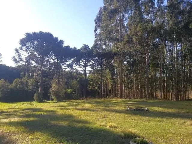 Fazenda à venda com 4 quartos, 37970m² - Foto 13