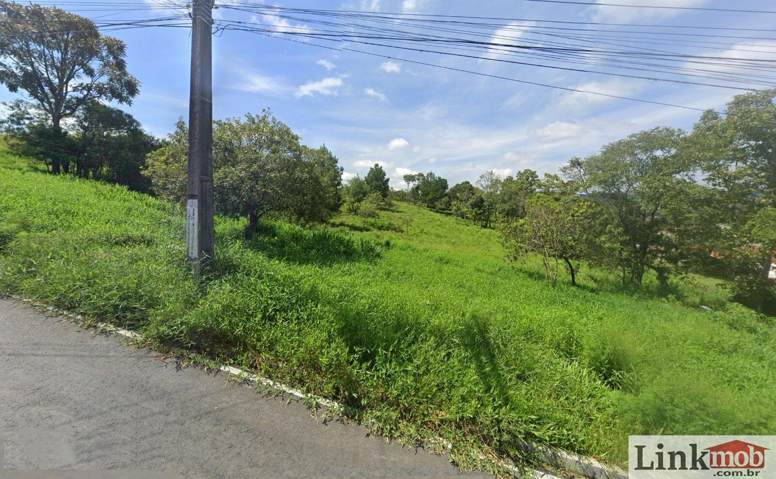 Terreno à venda, 18938m² - Foto 6