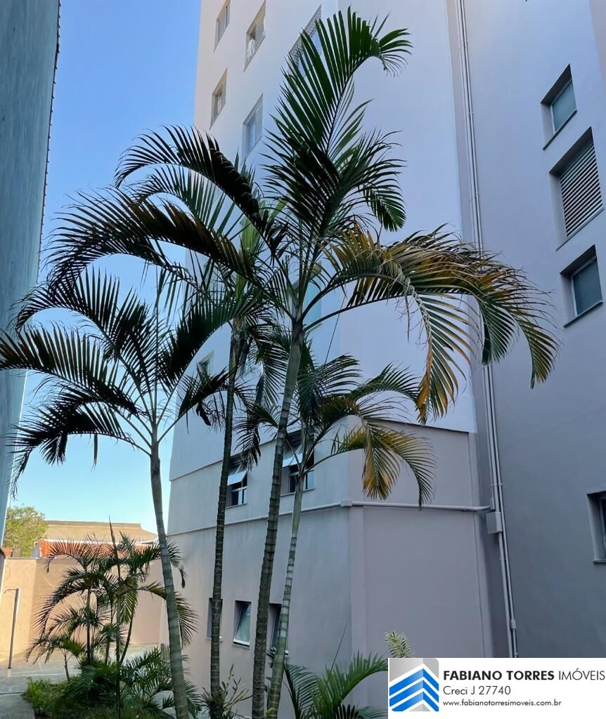 Apartamento, 2 quartos, 50 m² - Foto 11