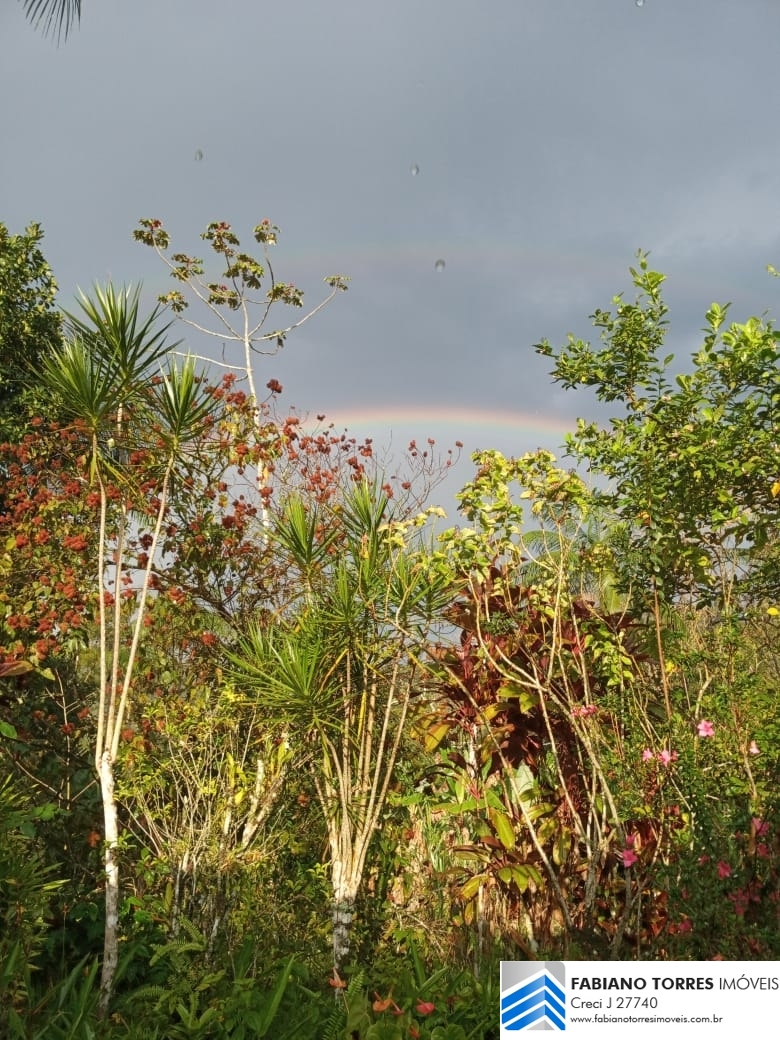 Sítio, 3 quartos, 4 hectares - Foto 32