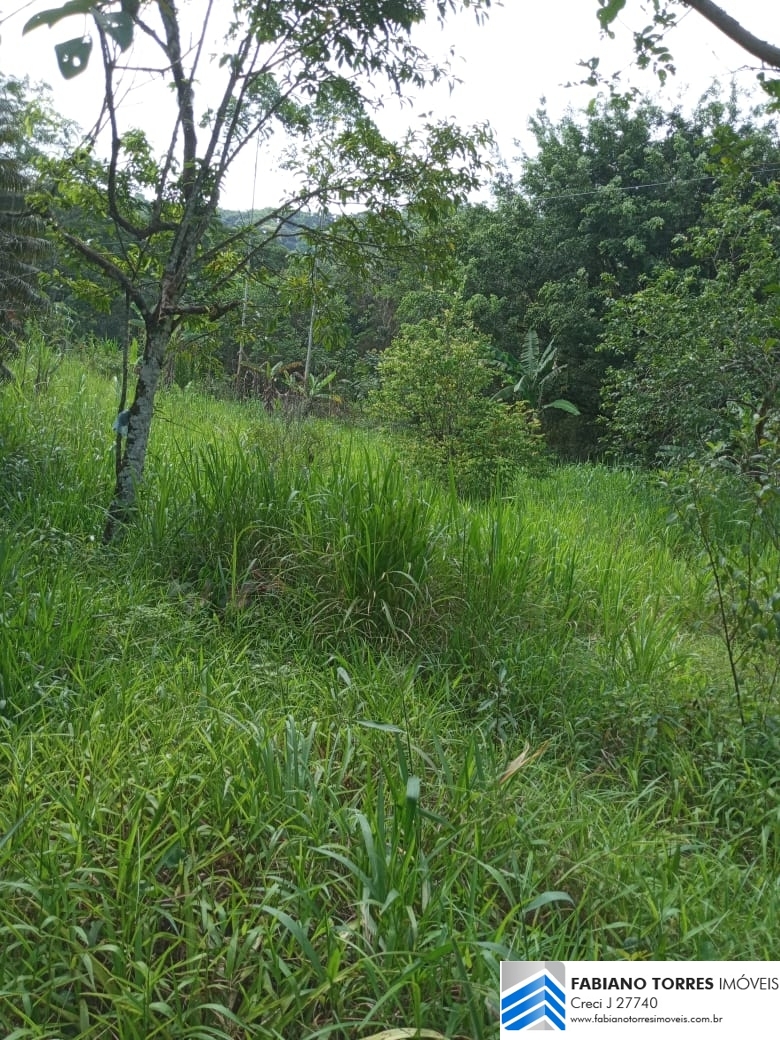 Sítio, 3 quartos, 4 hectares - Foto 28