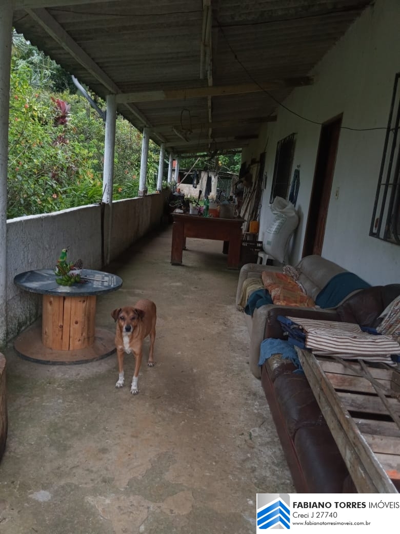 Sítio, 3 quartos, 4 hectares - Foto 9