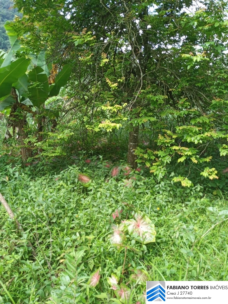 Sítio, 3 quartos, 4 hectares - Foto 27