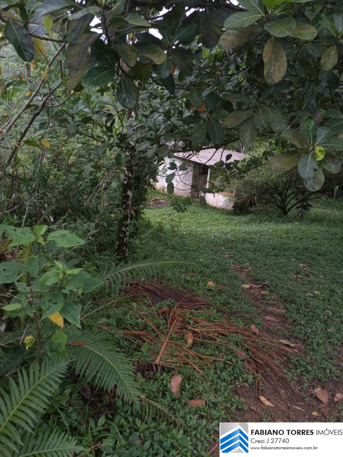 Sítio, 3 quartos, 4 hectares - Foto 21