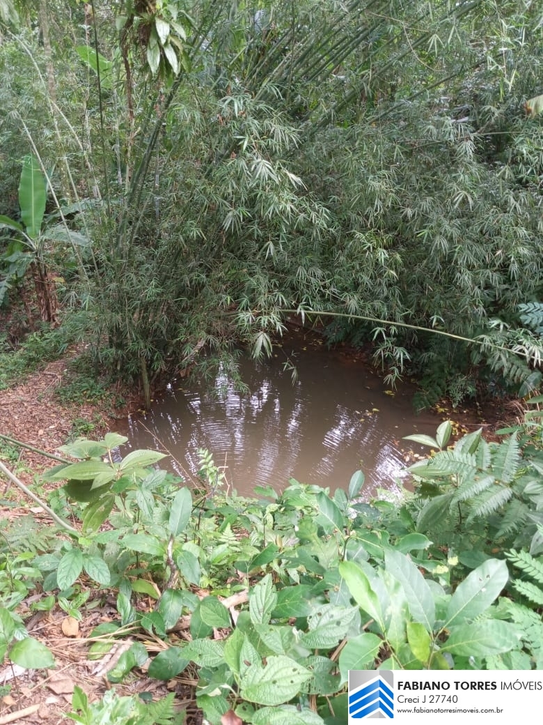 Sítio, 3 quartos, 4 hectares - Foto 17