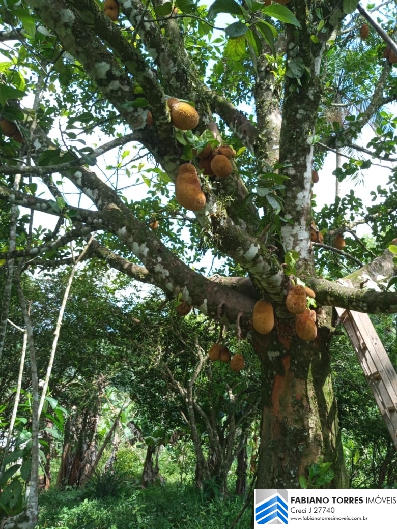 Sítio, 3 quartos, 4 hectares - Foto 13