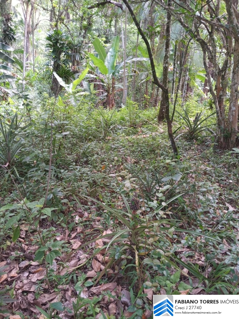 Sítio, 3 quartos, 4 hectares - Foto 25