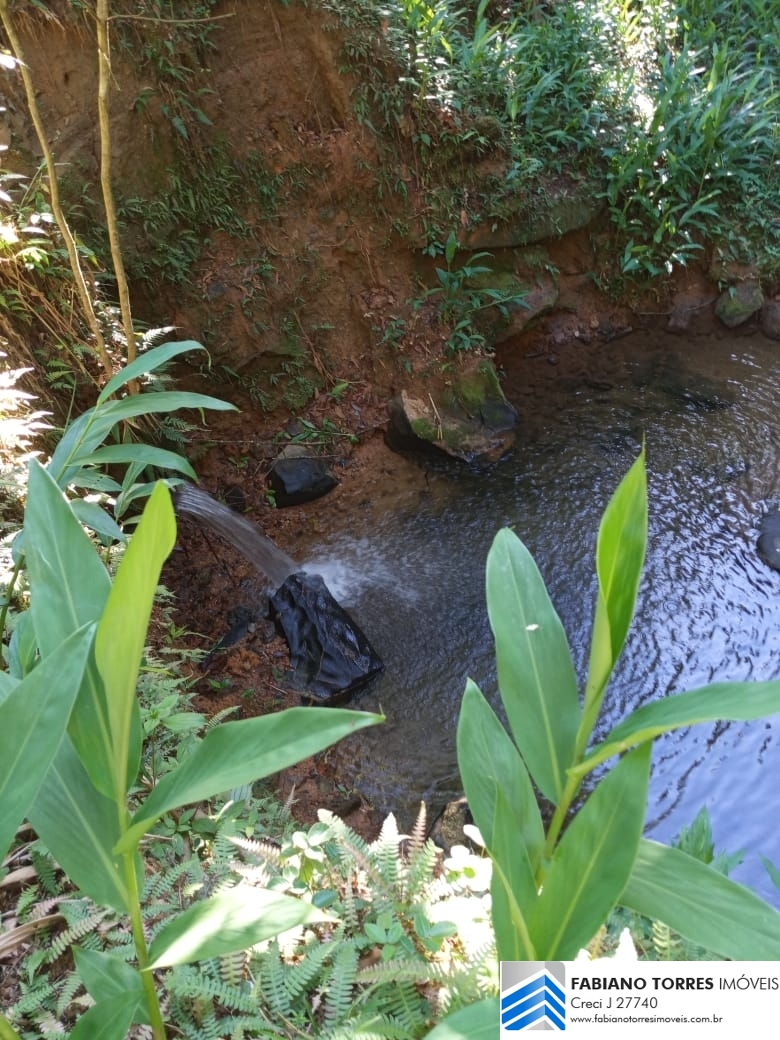 Sítio, 3 quartos, 4 hectares - Foto 29