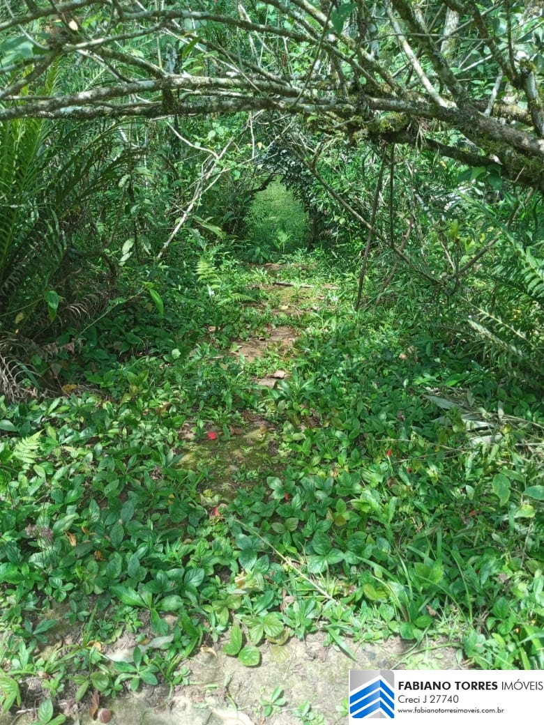 Sítio, 3 quartos, 4 hectares - Foto 22