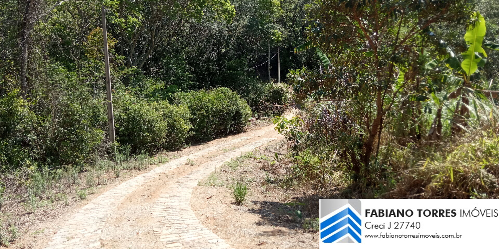 Chácara, 7 hectares - Foto 2