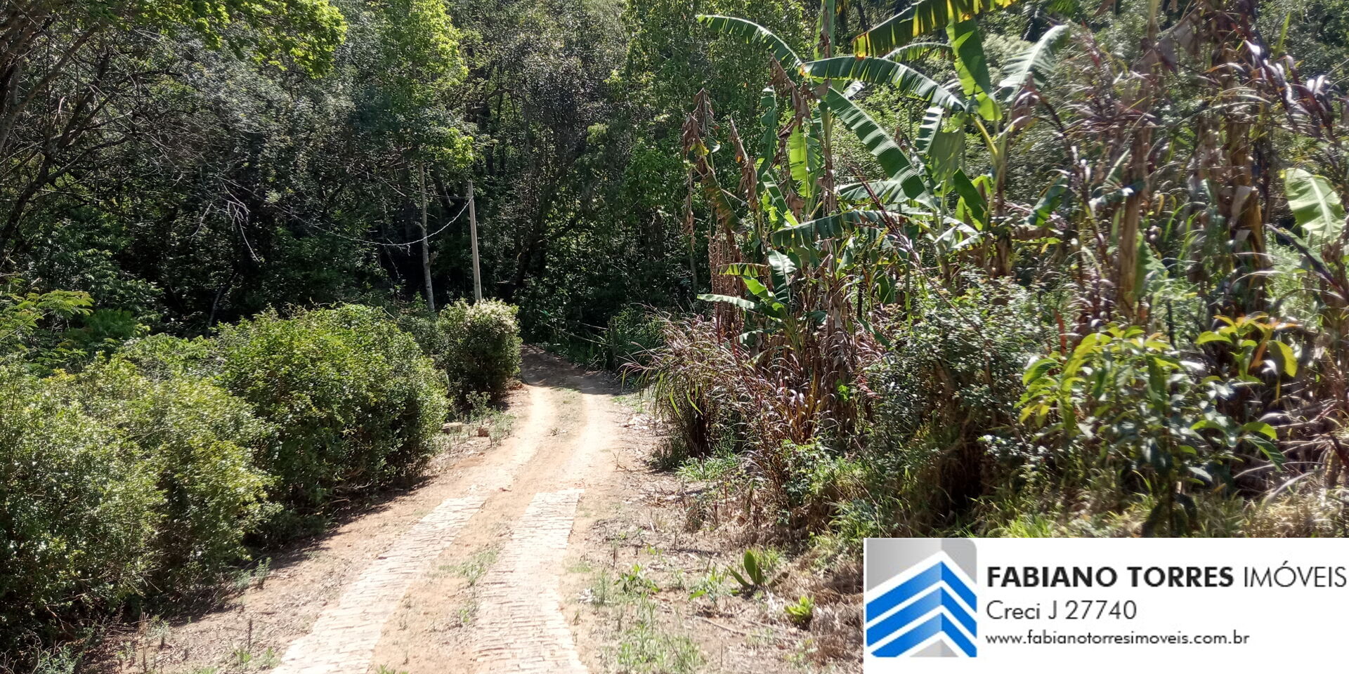 Chácara, 7 hectares - Foto 3