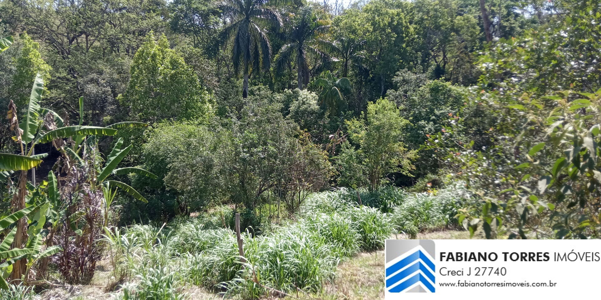 Chácara, 7 hectares - Foto 4