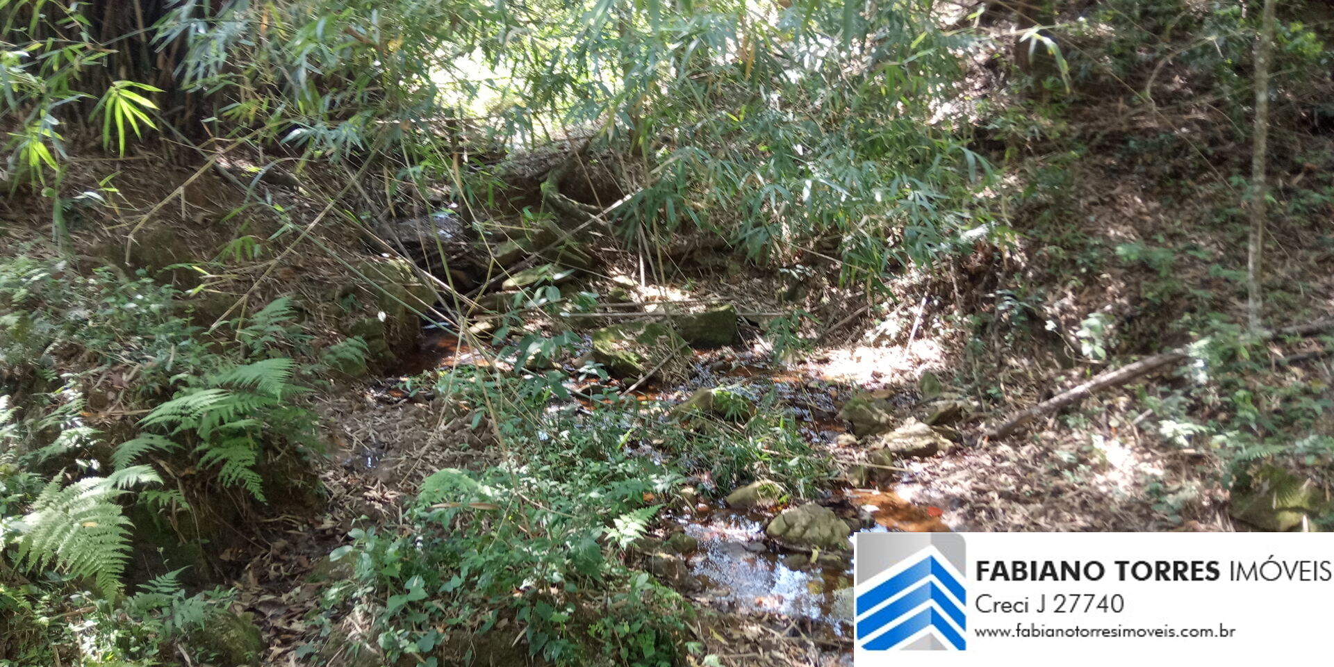 Chácara, 7 hectares - Foto 1