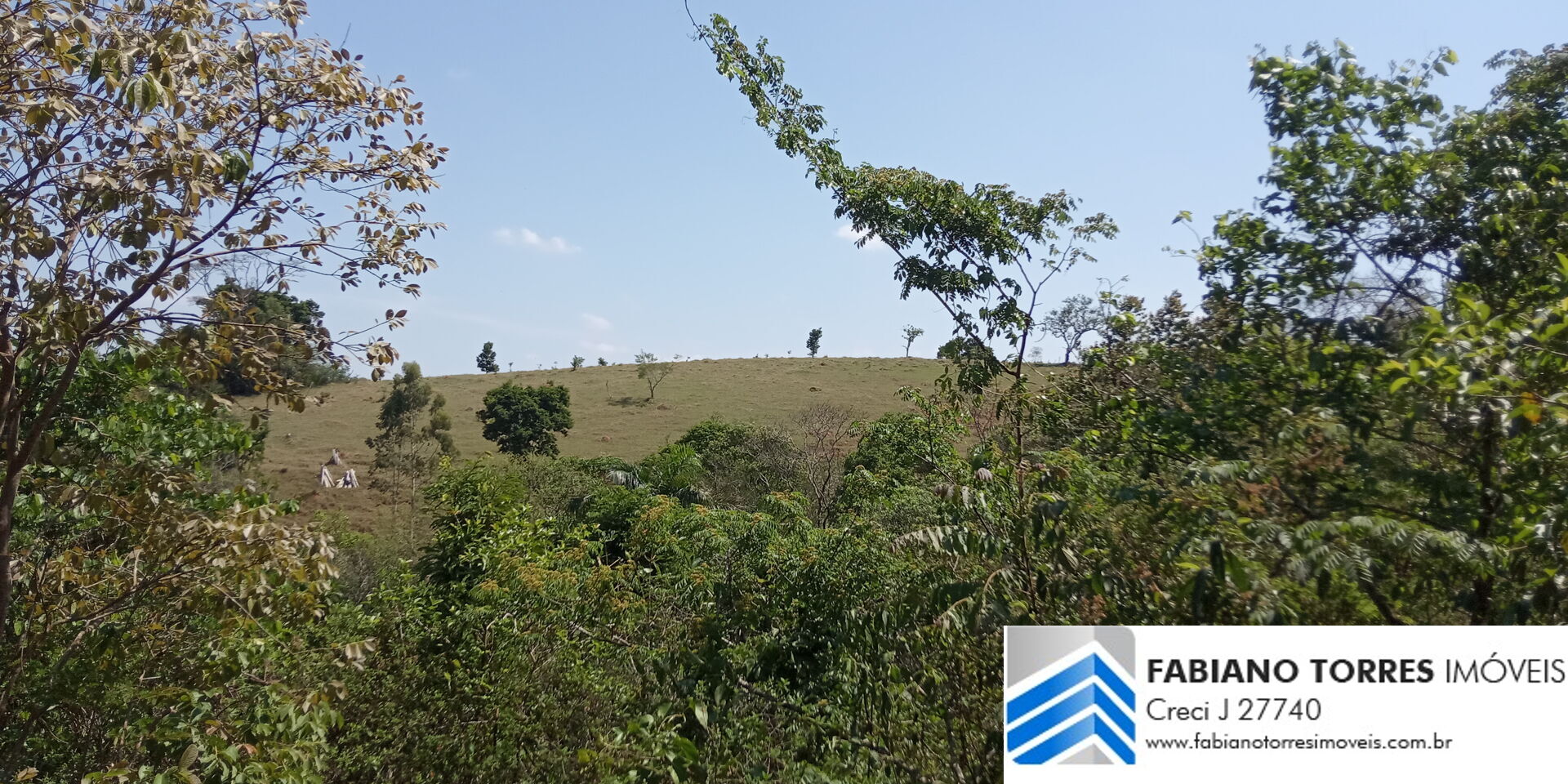 Chácara, 7 hectares - Foto 2