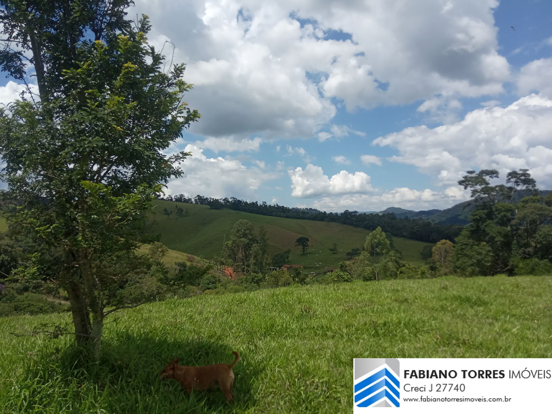 Chácara, 7 hectares - Foto 1