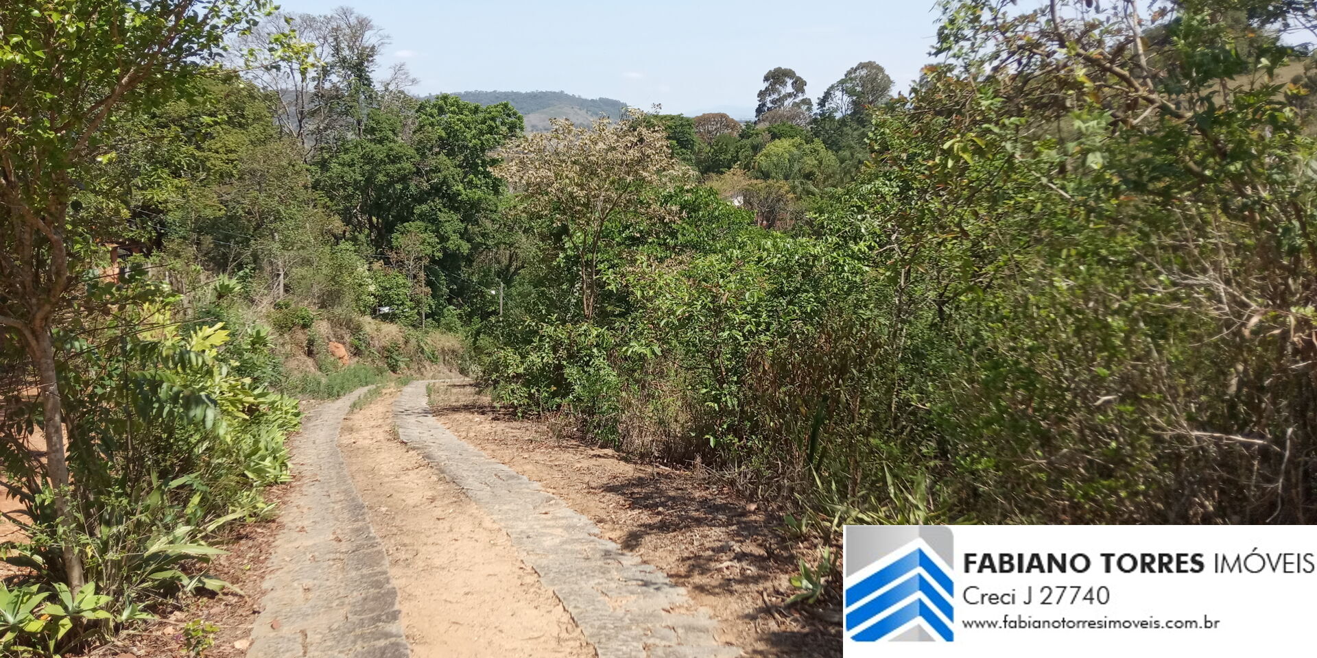 Chácara, 7 hectares - Foto 5