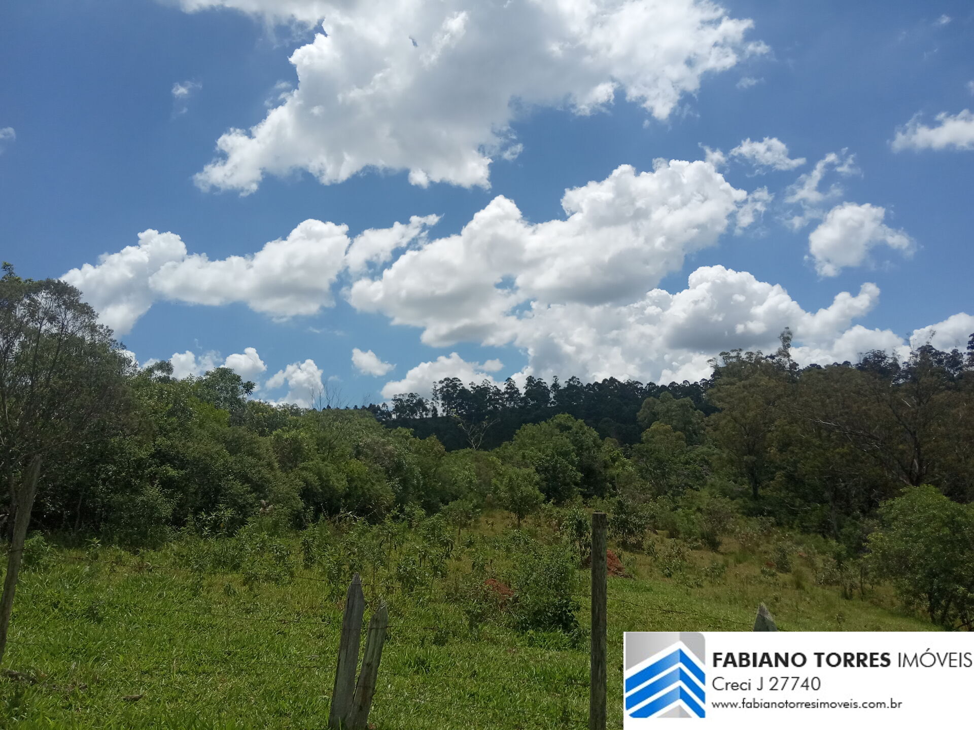 Chácara, 7 hectares - Foto 3