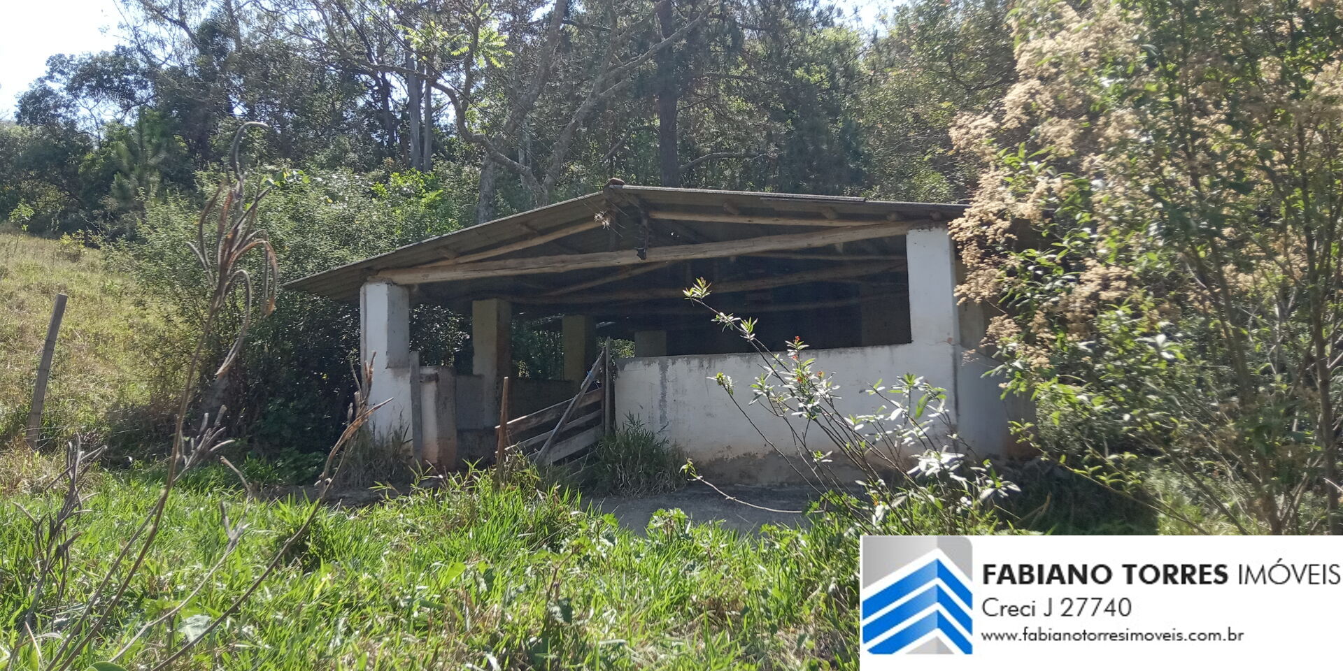 Chácara, 7 hectares - Foto 5