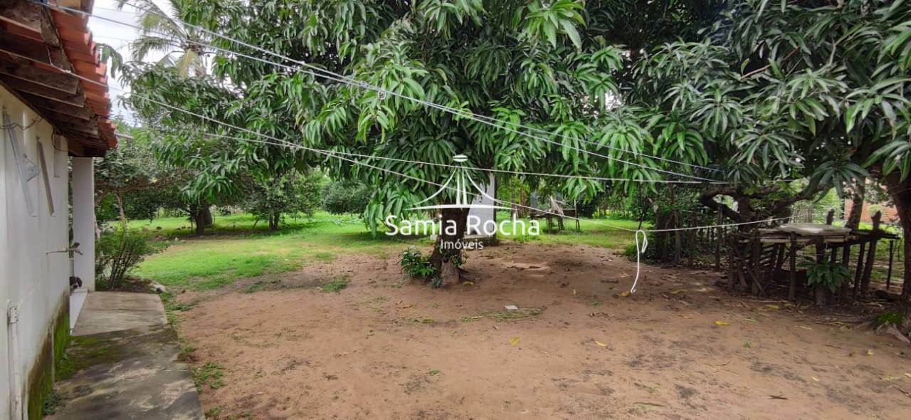 Fazenda à venda com 3 quartos, 35000m² - Foto 5