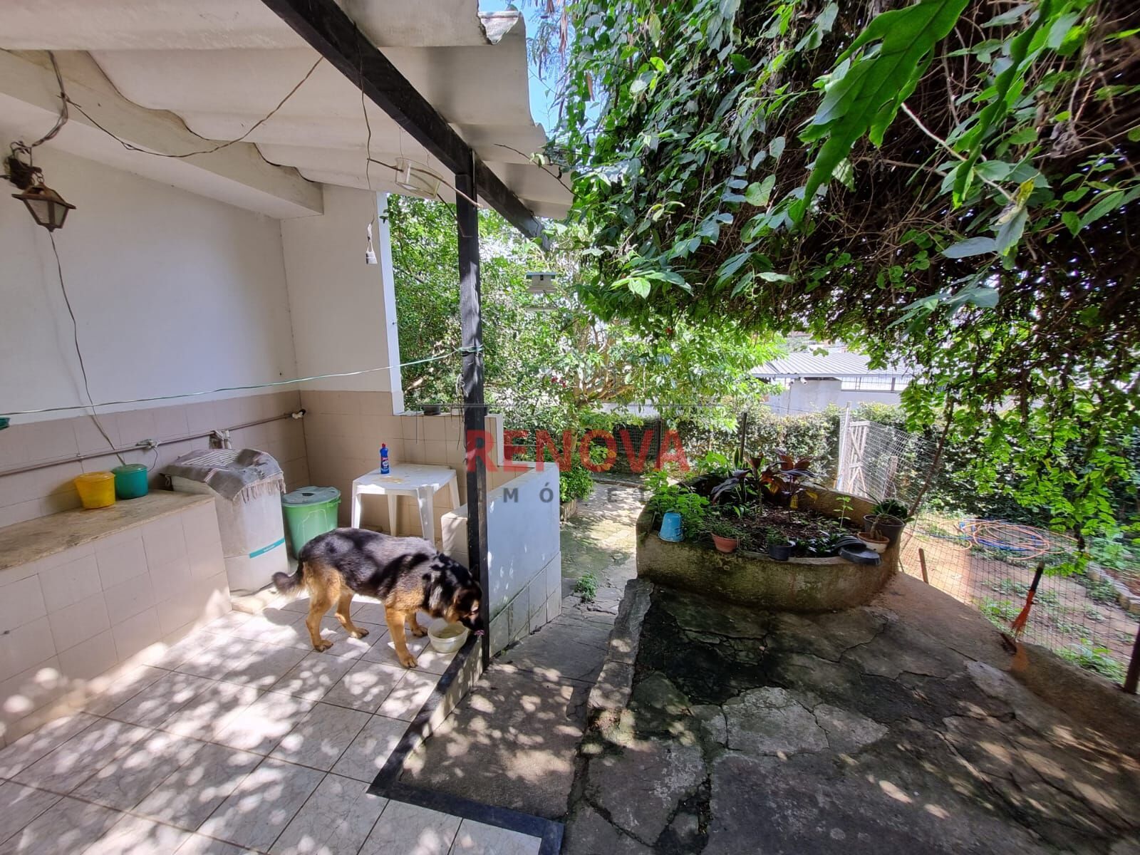 Casa, 5 quartos, 520 m² - Foto 4