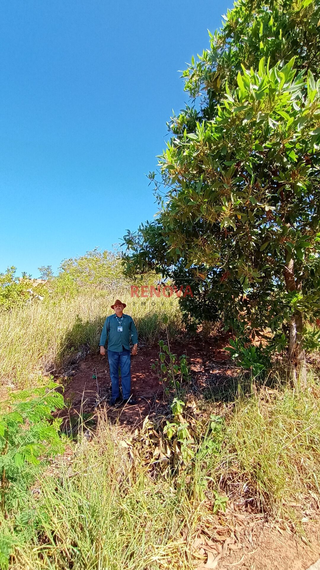 Casa, 5 quartos, 523 m² - Foto 19