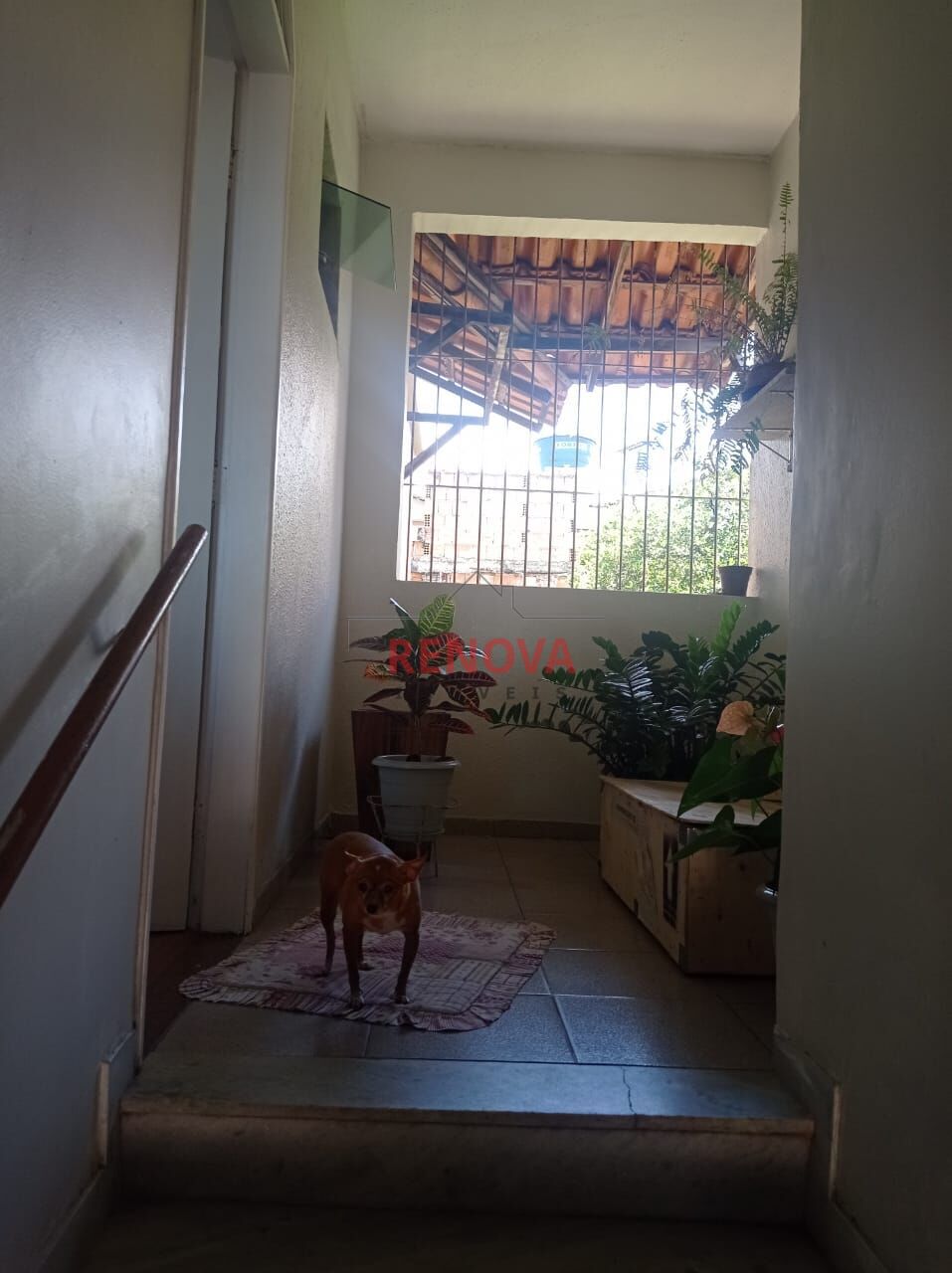 Apartamento, 3 quartos, 80 m² - Foto 31