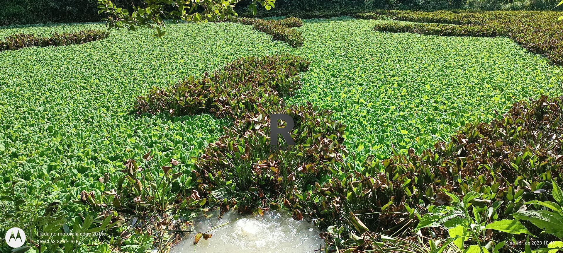 Fazenda/Sítios/Chácaras de 22000m² no bairro Centro, em Agrolândia | Eu Corretor