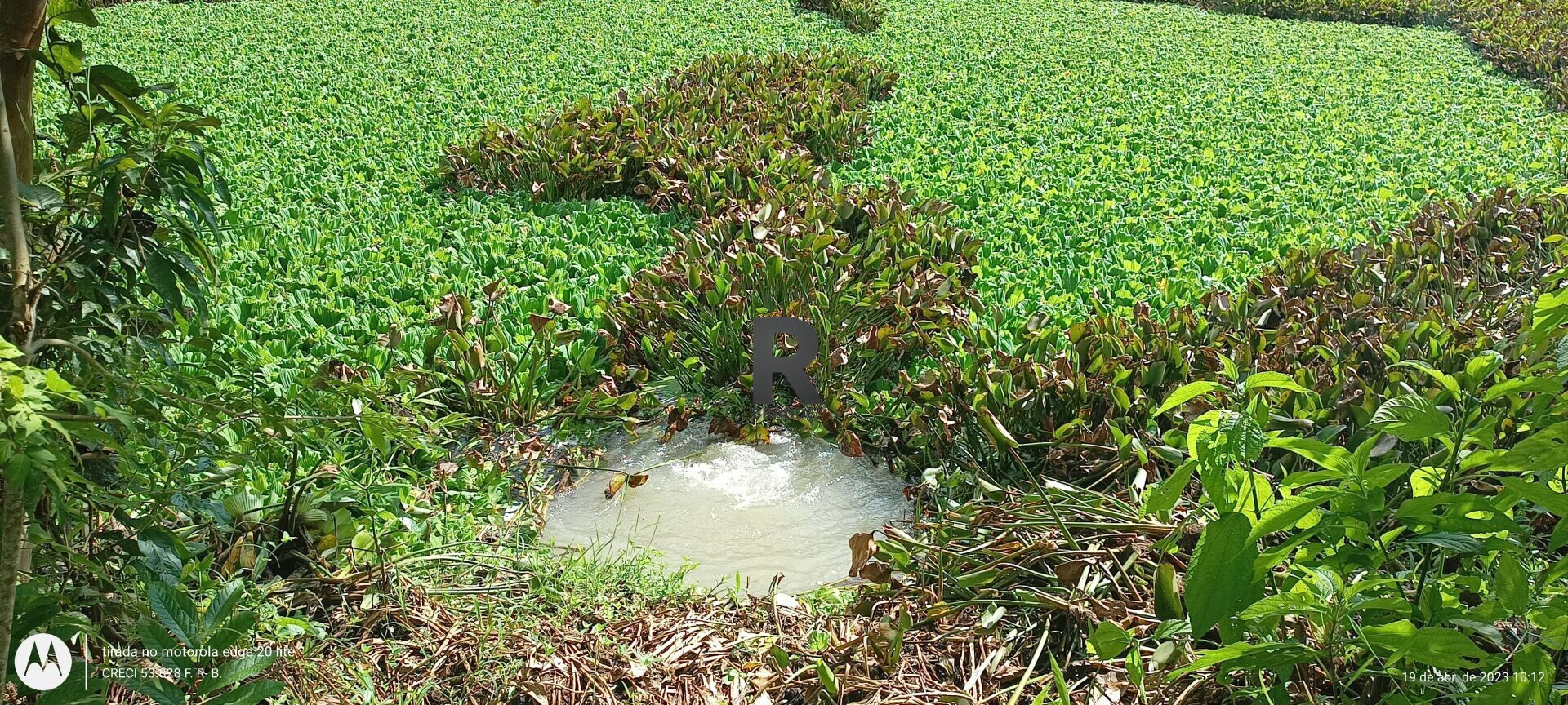 Fazenda/Sítios/Chácaras de 22000m² no bairro Centro, em Agrolândia | Eu Corretor