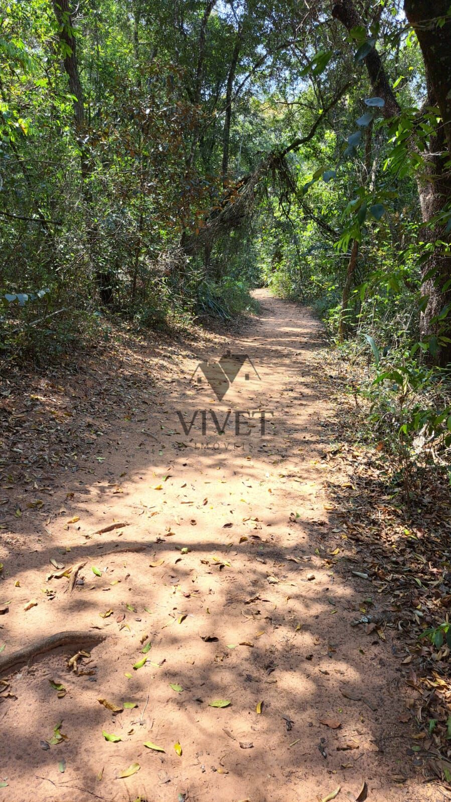 Terreno, 900 m² - Foto 3