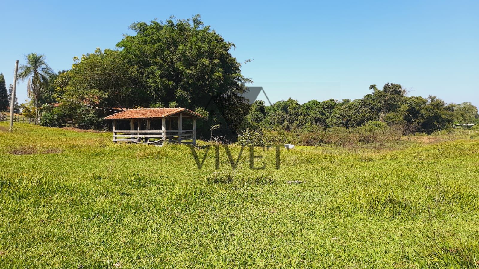 Sítio à venda com 3 quartos, 48400m² - Foto 32