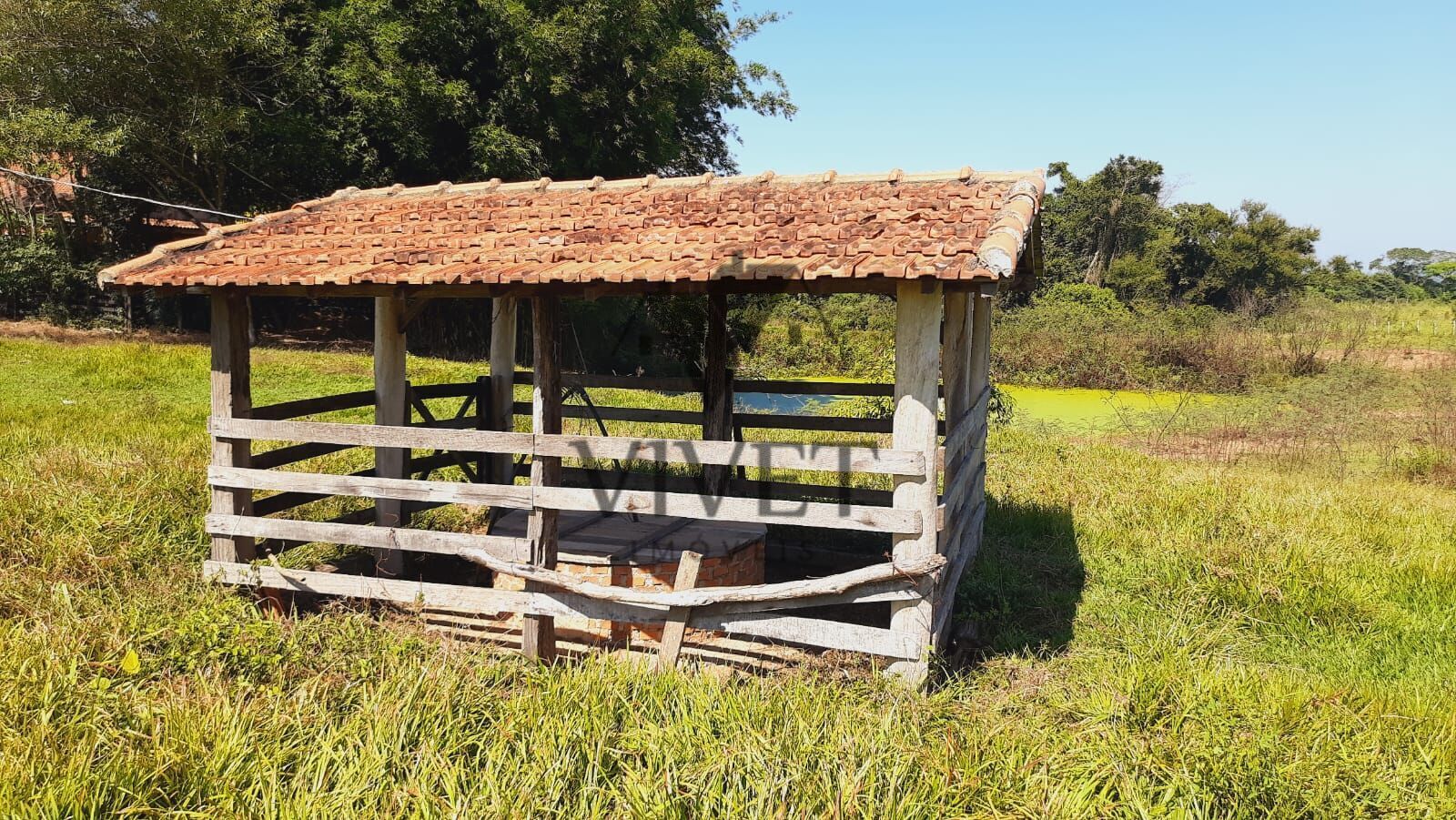 Sítio à venda com 3 quartos, 48400m² - Foto 33