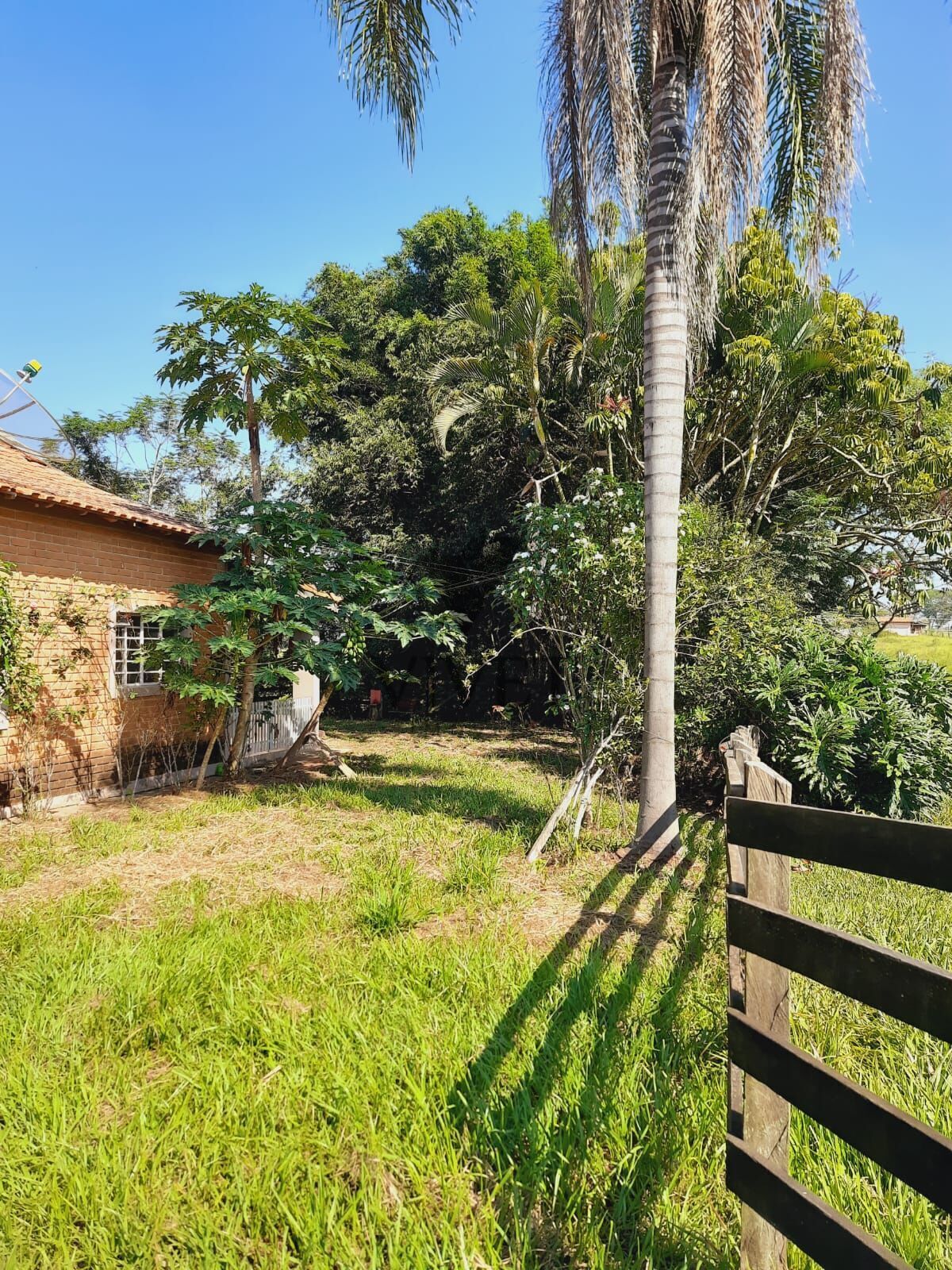 Sítio à venda com 3 quartos, 48400m² - Foto 28