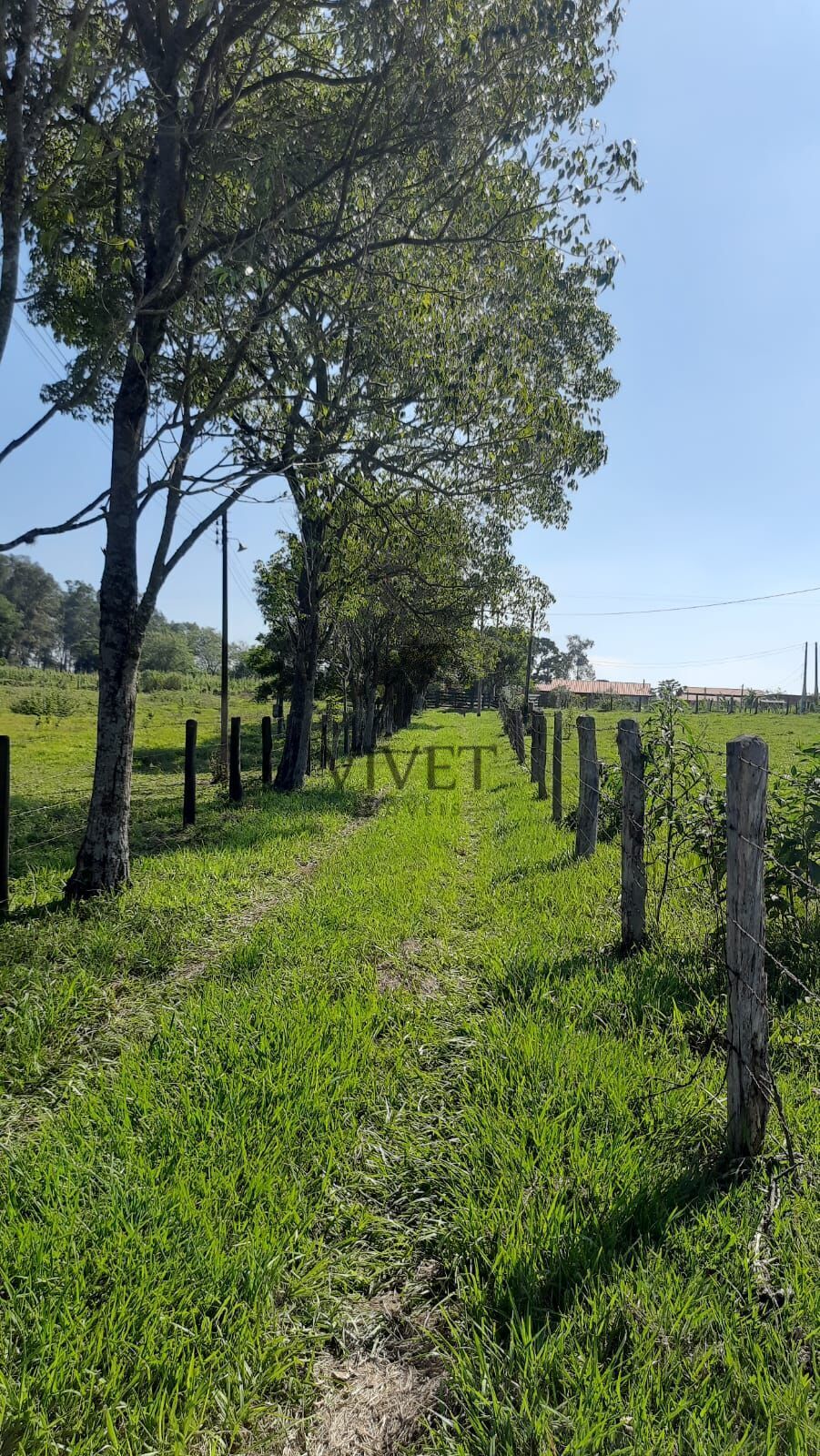 Sítio à venda com 3 quartos, 48400m² - Foto 30
