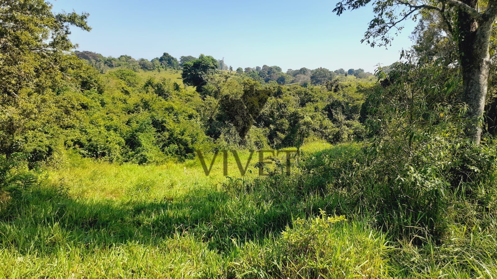 Sítio à venda com 3 quartos, 48400m² - Foto 38