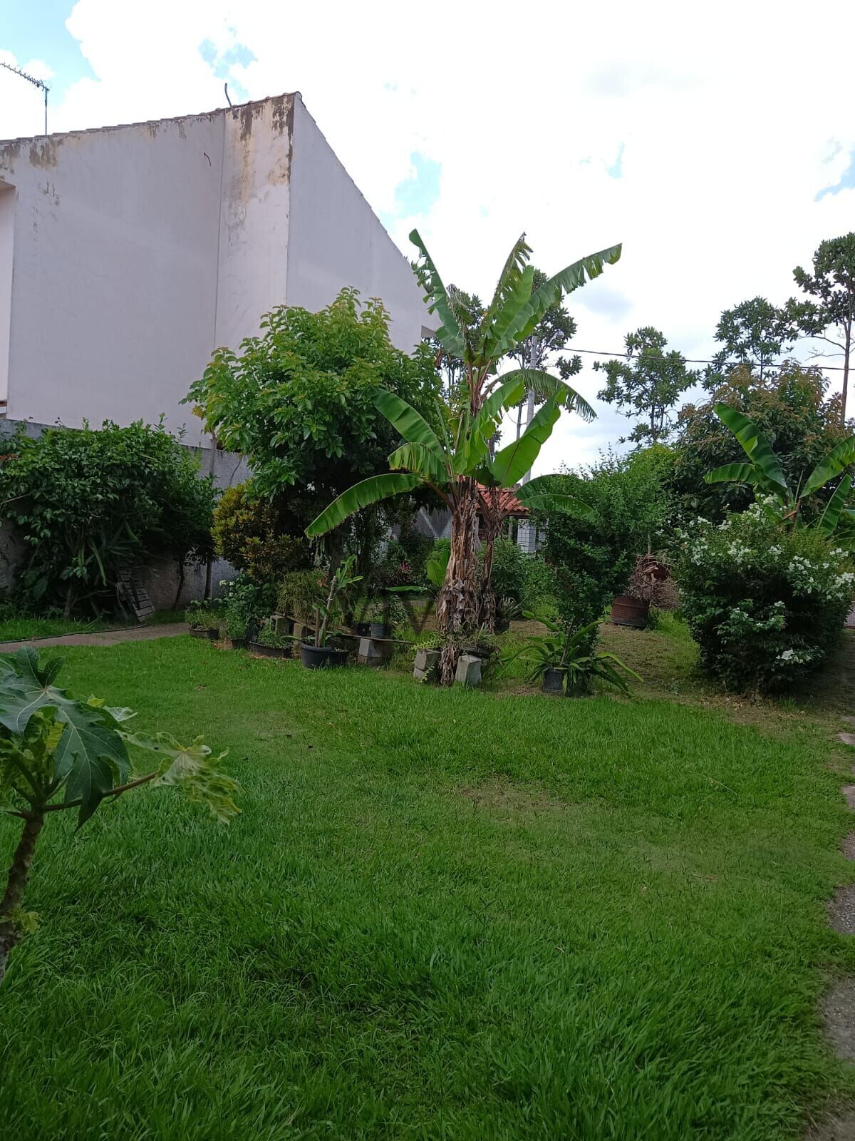 Casa de Condomínio à venda com 3 quartos, 230m² - Foto 21