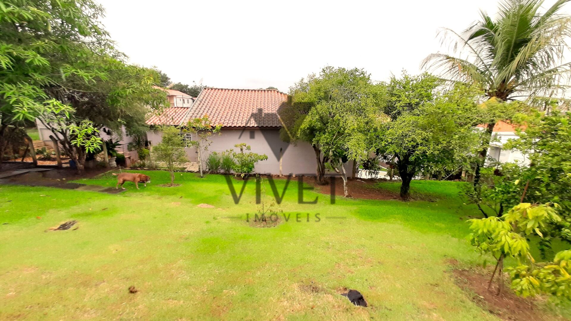 Casa à venda com 2 quartos, 214m² - Foto 18