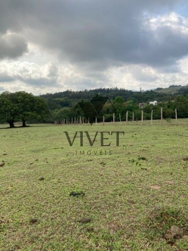 Sítio, 3 hectares - Foto 3