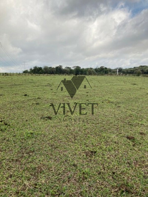 Sítio, 3 hectares - Foto 3