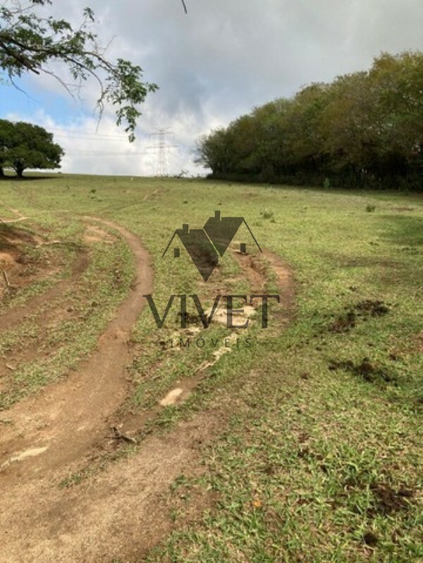 Sítio, 3 hectares - Foto 9